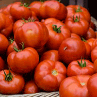manfaat tomat dan khasiatnya untuk kesehatan, salah satunya untuk jantung